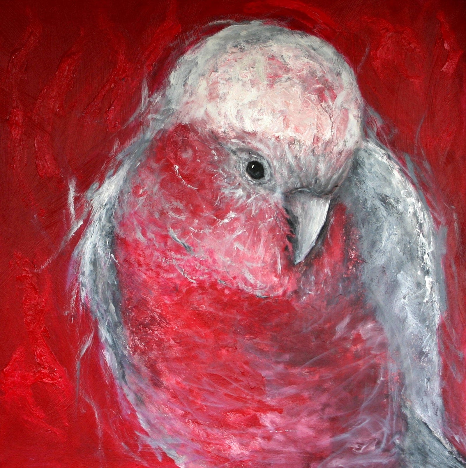 Artistic depiction of a parrot with red and gray feathers on a red background