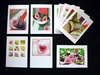Just Fruity mixed pack of 10 Cards thumbnail